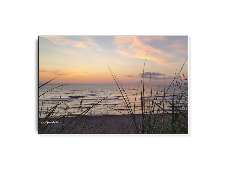 FotoSbySRose #4 ARTHENTIC Akustikbillede FotoSbySRose #4 ARTHENTIC Akustikbillede