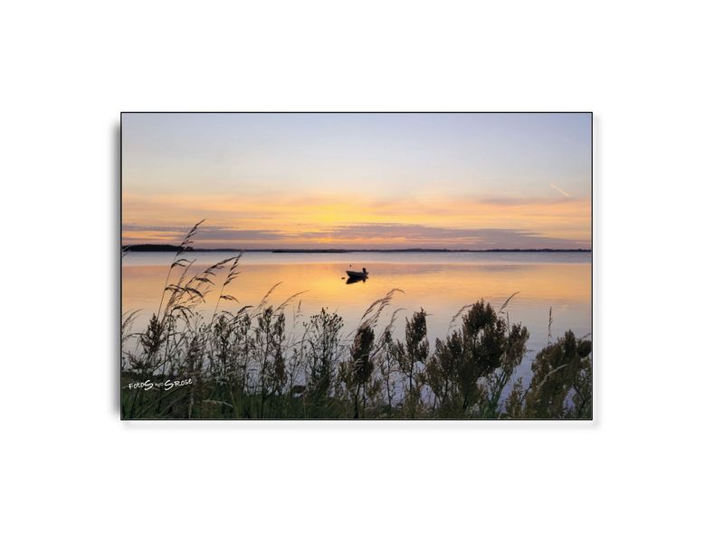 FotoSbySRose #3 ARTHENTIC Akustikbillede FotoSbySRose #3 ARTHENTIC Akustikbillede