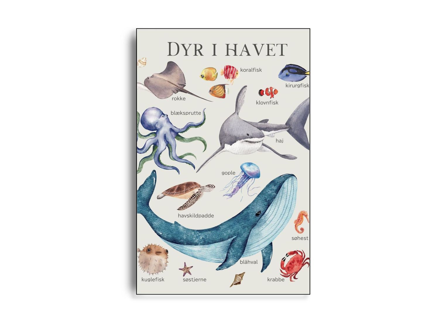 ARTHENTIC Akustikbillede - DYR I HAVET | Vilsa kids art