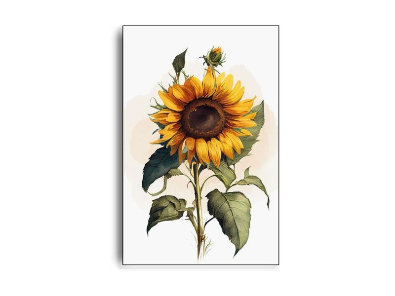 Solsikke | Vilsa ARTHENTIC Akustikbillede Solsikke | Vilsa ARTHENTIC Akustikbillede