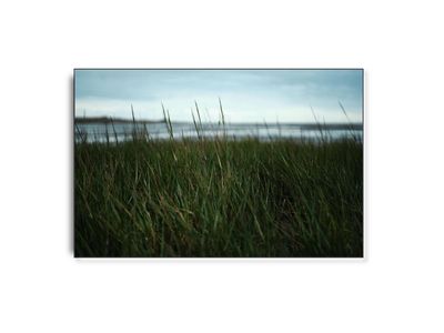 Vesterhavet II af fotograf Theis Bothmann | ARTHENTIC Akustikbillede