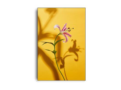 Flower IV af fotograf Theis Bothmann | ARTHENTIC Akustikbillede