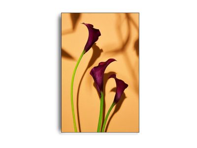 Flower V af fotograf Theis Bothmann | ARTHENTIC Akustikbillede