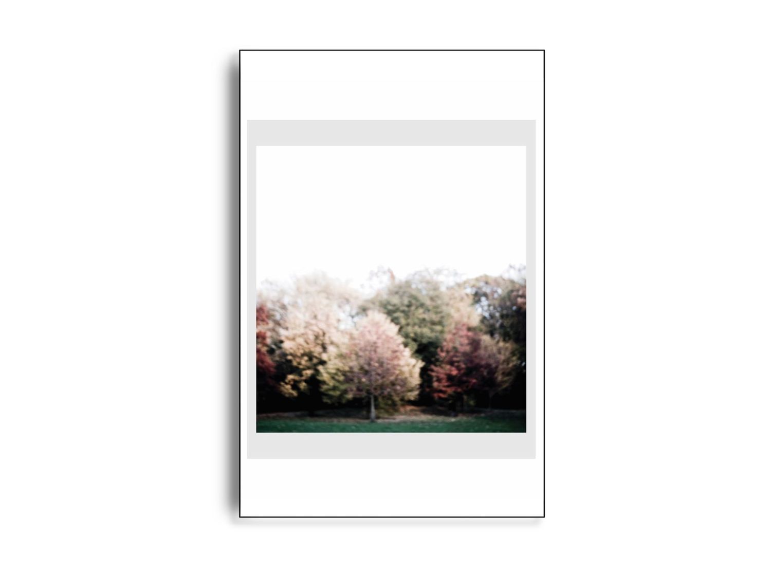 Trees af Gyrithe Lemche | ARTHENTIC Akustikbillede