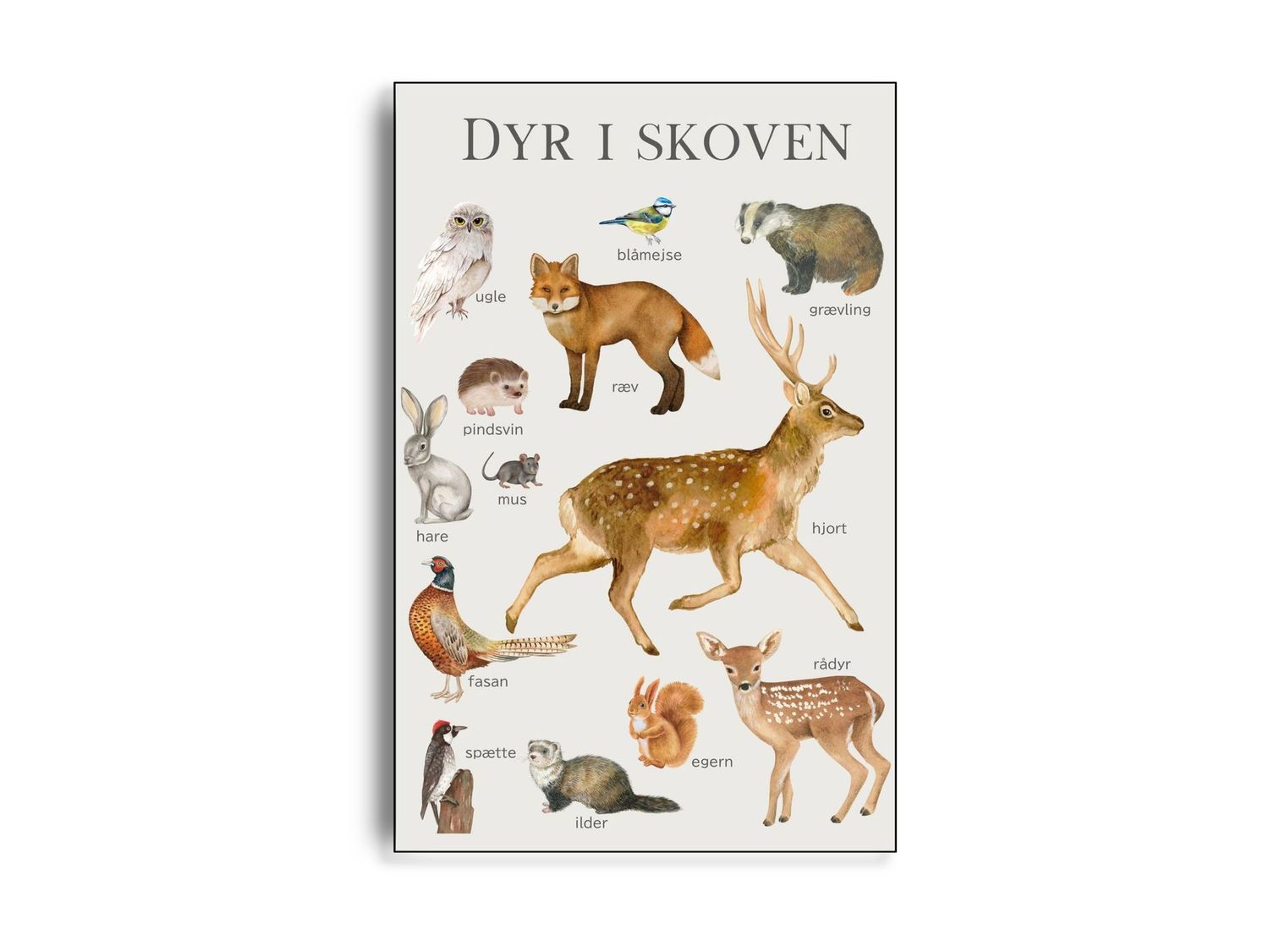 ARTHENTIC Akustikbillede - SKOVENS DYR | Vilsa kids art