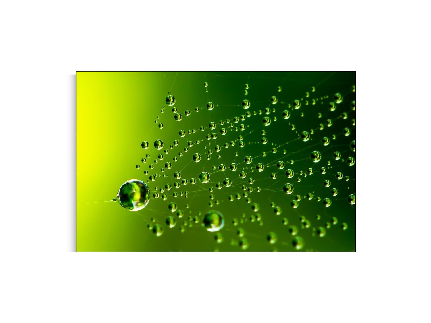 ARTHENTIC Akustikbillede | Dug På Spindelvæv af Svend Vedel