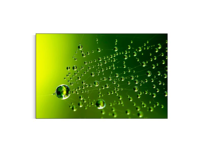 ARTHENTIC Akustikbillede | Dug På Spindelvæv af Sven Vedel Dall