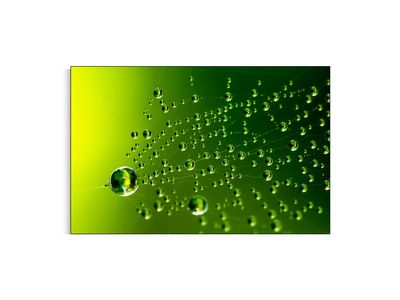 ARTHENTIC Akustikbillede | Dug På Spindelvæv af Svend Vedel