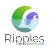 Ripples Online
