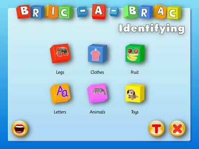 Screenshot of the menu page in bric-a-brac identifying software 