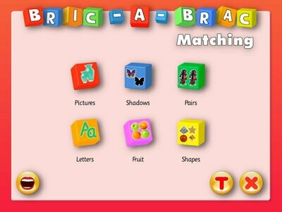 Screenshot of the menu page in bric-a-brac matching software 