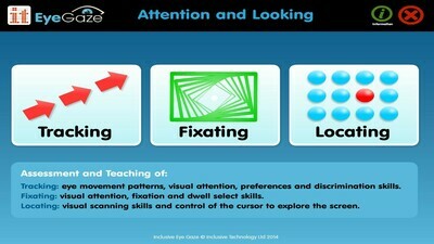 Inclusive Eye Gaze: Attention and Looking