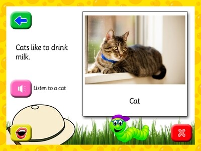Screenshot of an activity  page in percy's animal explorer software