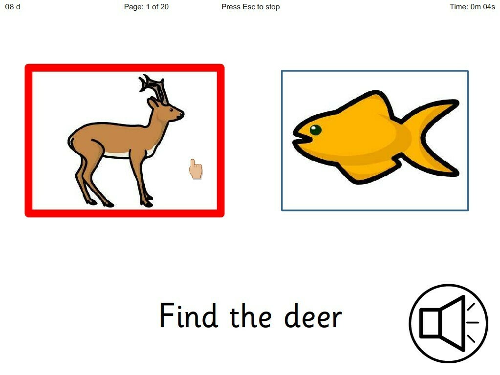 ChooseIt! Ready Mades Literacy - Initial Sounds