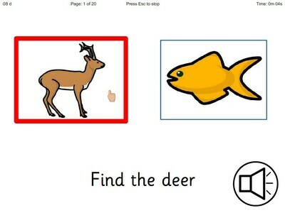 ChooseIt! Ready Mades Literacy - Initial Sounds