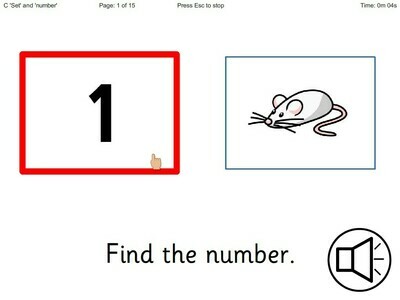 ChooseIt! Ready Mades Numeracy - Early Number