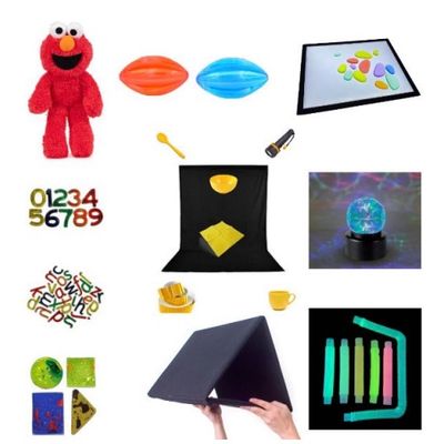 All the items in the CVI Sensory Pack