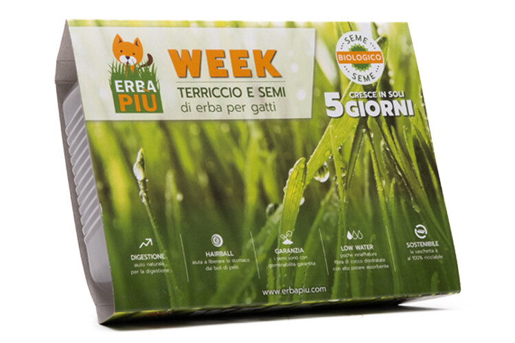 Semi di Erba per gatti Erbapiù 40 gr | L'Isola dei Tesori
