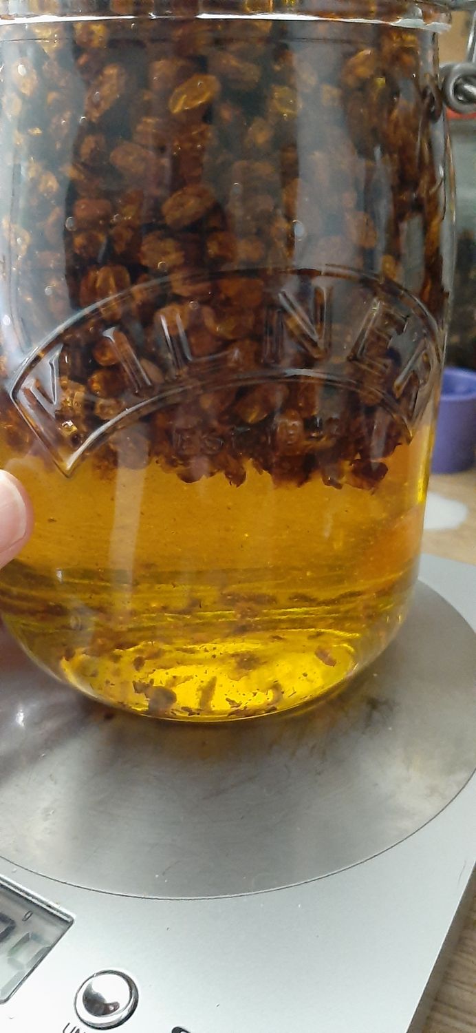 CHRYSALID facial oil