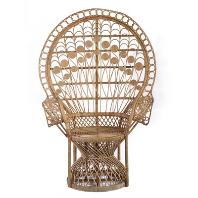 Peacock Chair 1
