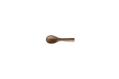 Sugar/Salt Spoon
