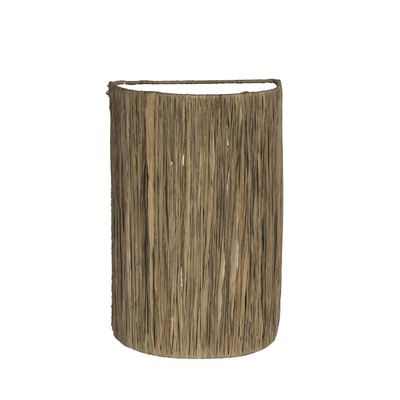 Wall Mounted Pendant 6