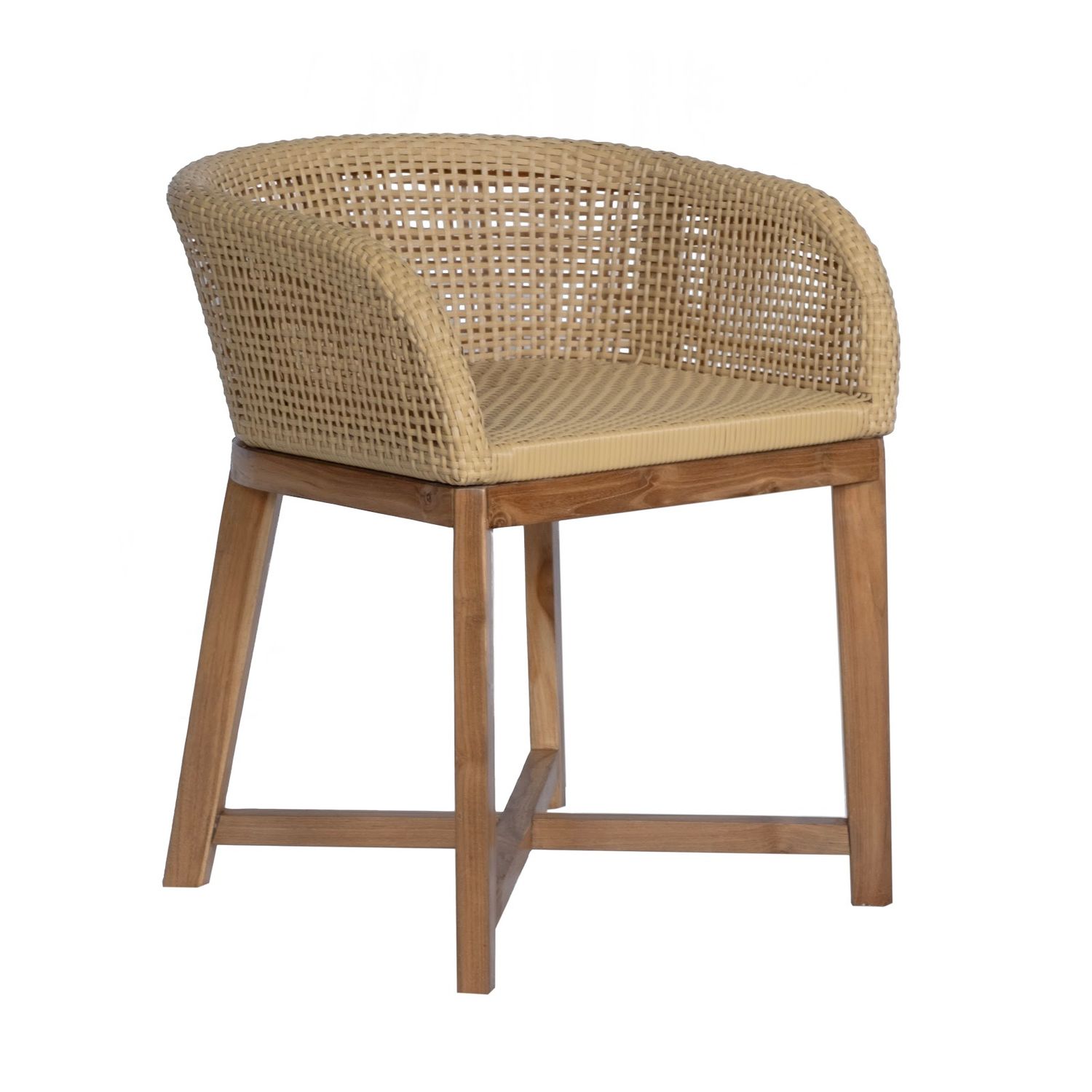 Dining Chair 41 (Poly Rattan)