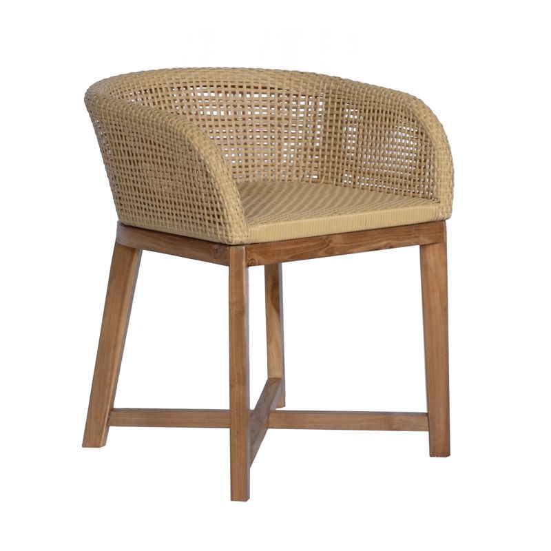 Dining Chair 41 (Poly Rattan)