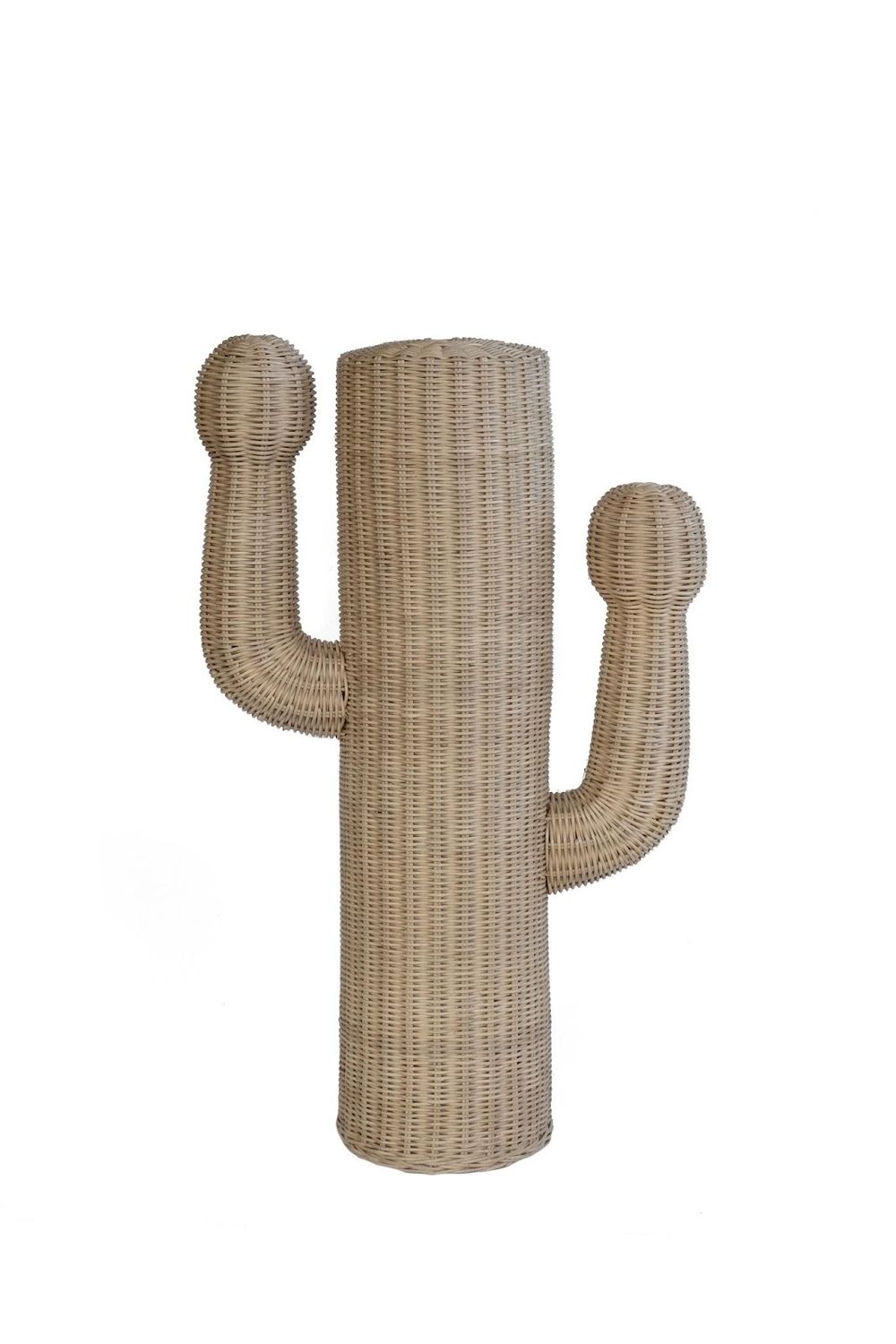 Cactus (Small)
