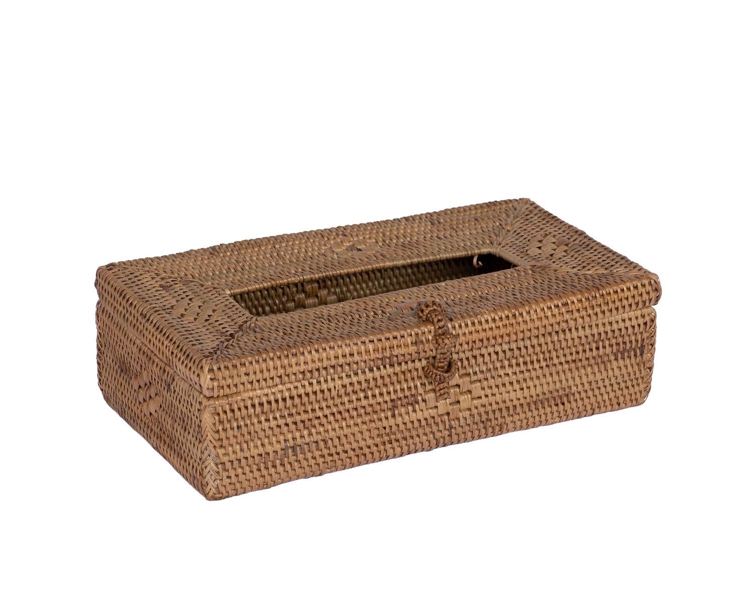 Tissue Holder 1