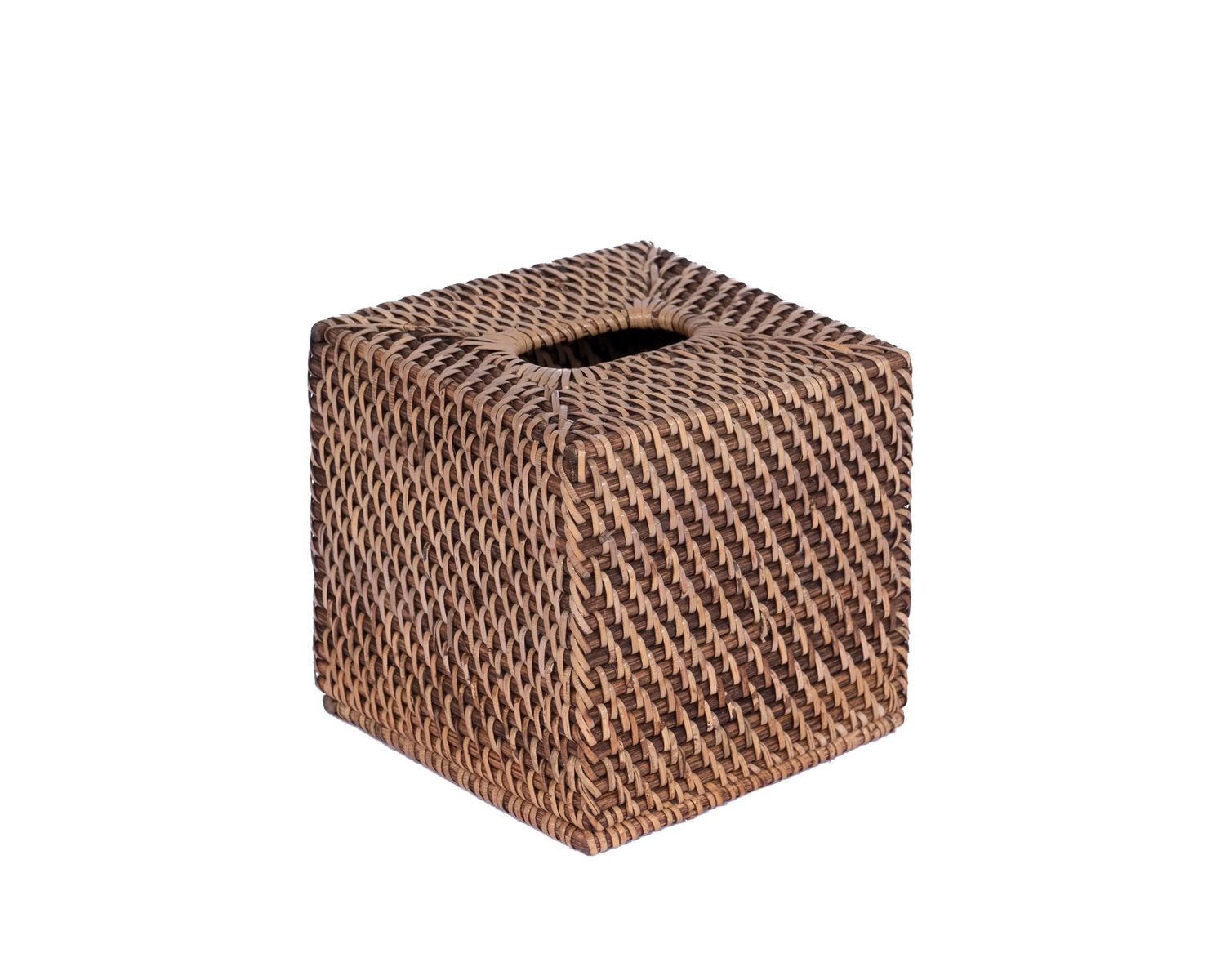 Tissue Holder 2