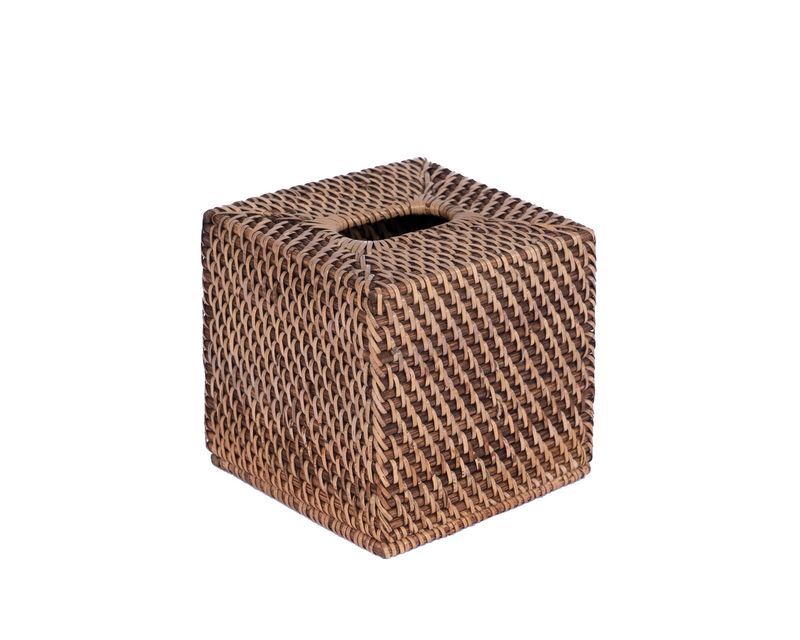 Tissue Holder 2