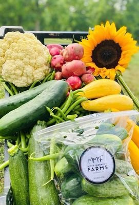 2025 CSA Farm Box Large Share( May 12th - Aug 5th)