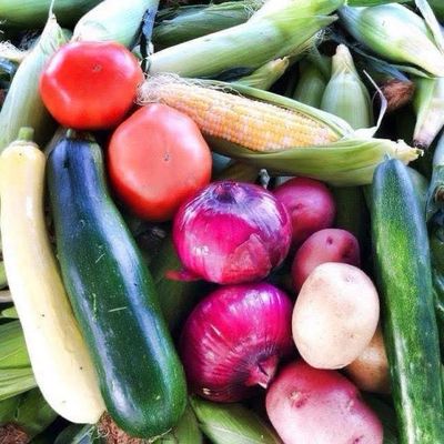 2025 CSA Farm Box Medium Share (May 12th- Aug 5th)