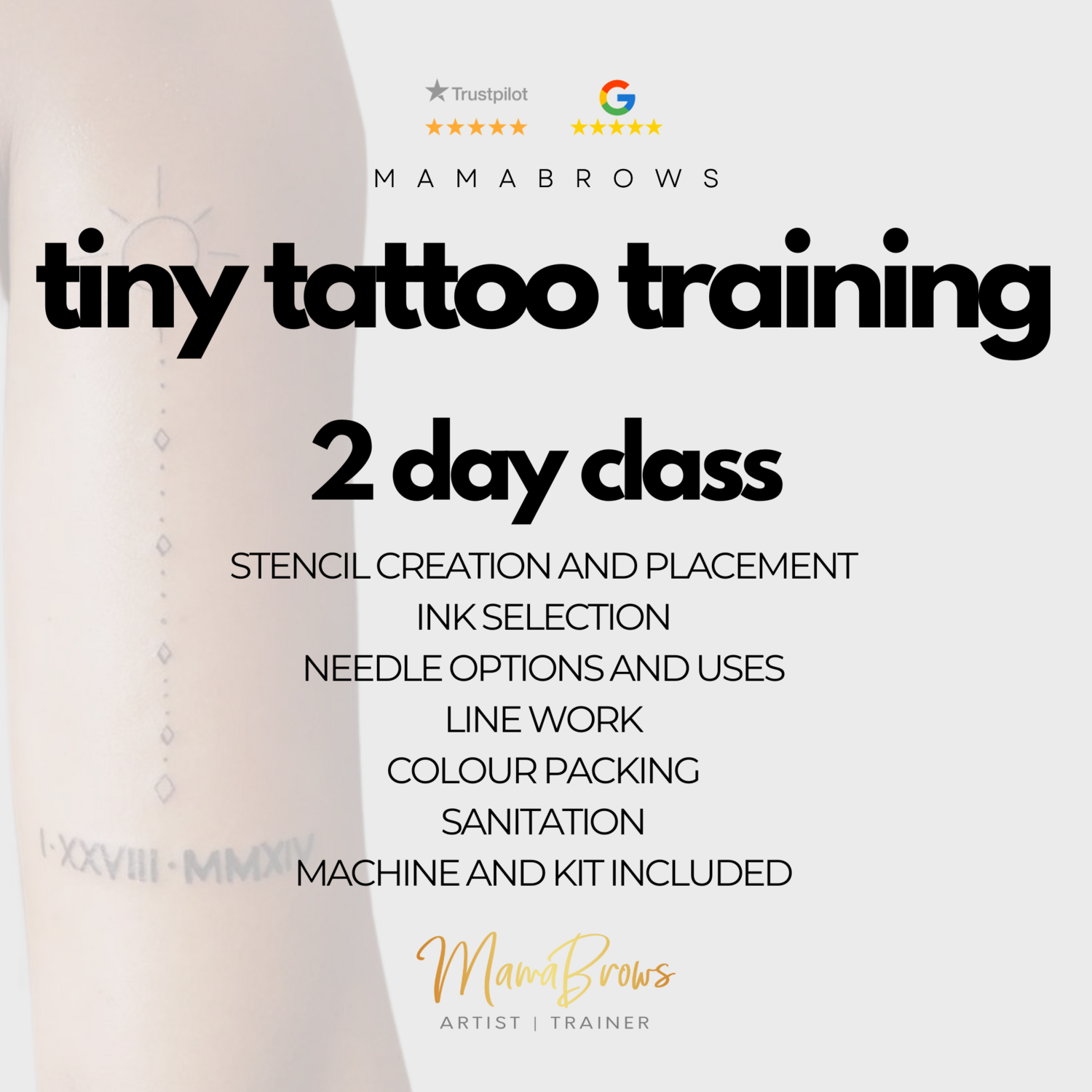 TINY TATTOO TRAINING TORONTO