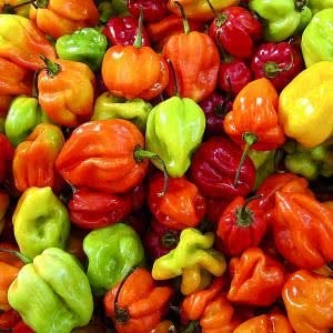 Hot Peppers