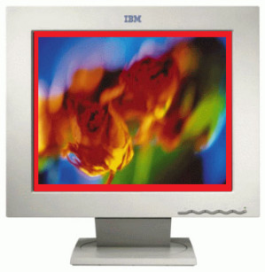 IBM T84H 18 Inch Monitor | 6658-HG2