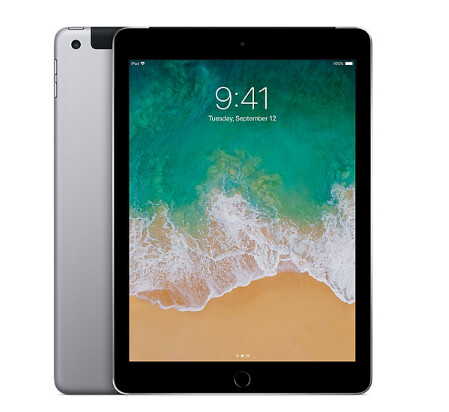Apple iPad 5th Gen 128GB (Wifi+Cellular) Space Gray | A1823