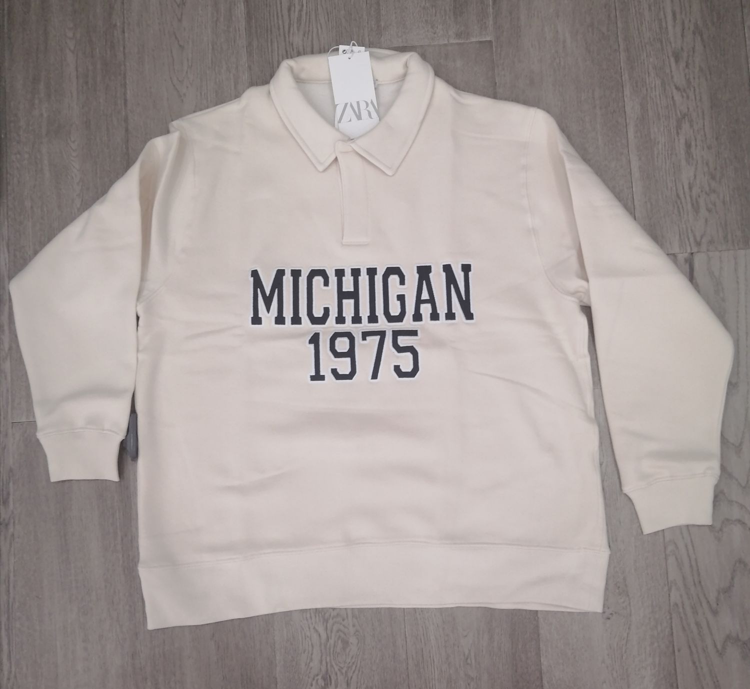 ZARA Sweatshirt | New