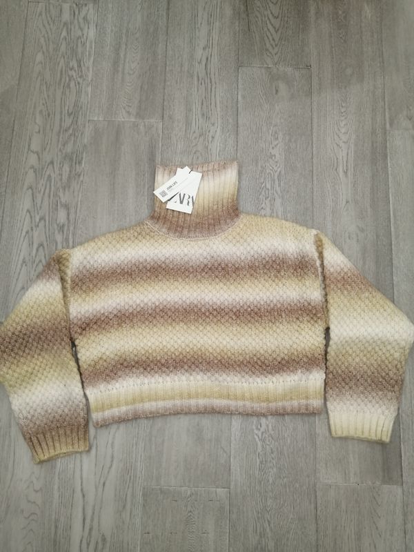 ZARA Cropped Knit Sweater| Turtle Neck