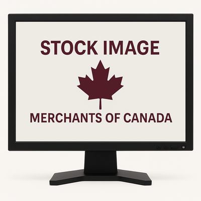 15" LCD Monitor with VGA &amp; Standard Power Cord