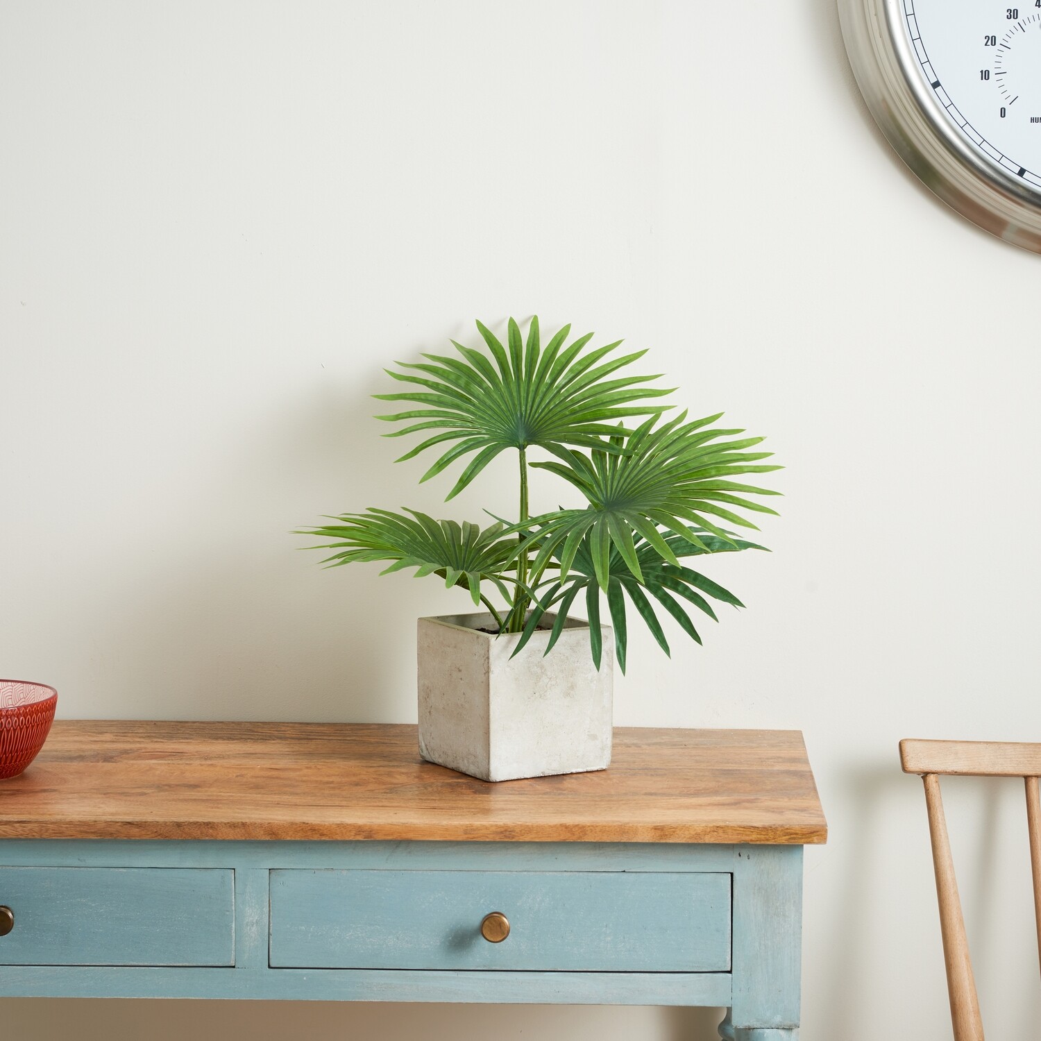 Tropical Leaves in a Cement Cube - Green Tropical Leaves in a Cement Cube - Green