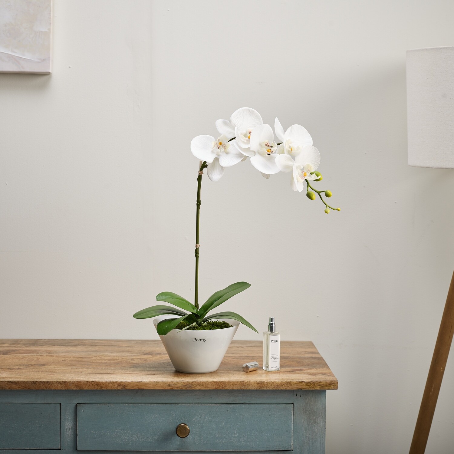 ORCHID IN A BOWL WITH 25ML WILD ORCHID SPRAY ORCHID IN A BOWL WITH 25ML WILD ORCHID SPRAY