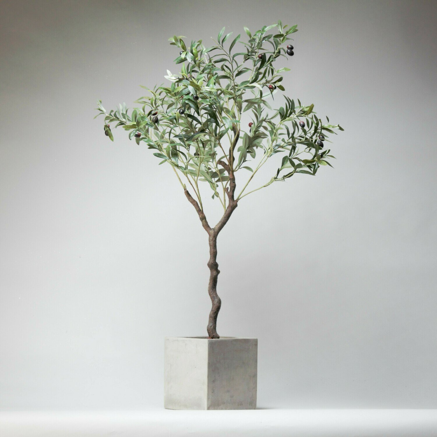 Artificial Olive tree in grey cement planter with bark