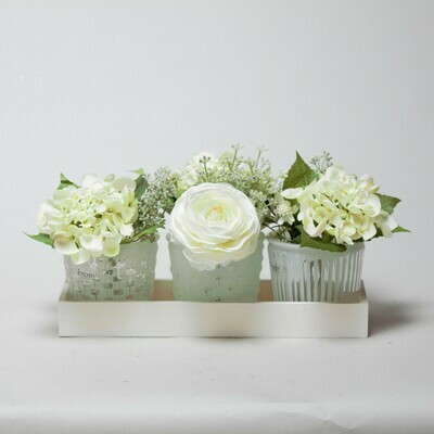 Set of three Hydrangea, Ranunculi and Eucalyptus seed in a wooden tray Set of three Hydrangea, Ranunculi and Eucalyptus seed in a wooden tray