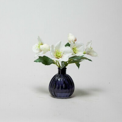 White Hellebores in a black bottle vase White Hellebores in a black bottle vase