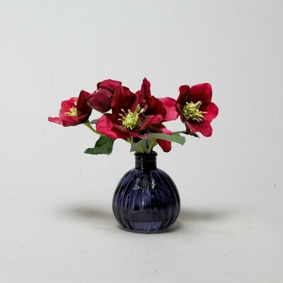 Magenta Hellebores in a black bottle Magenta Hellebores in a black bottle