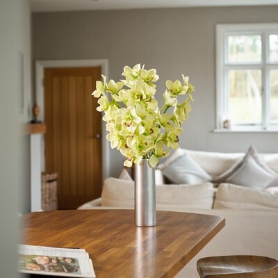 Cymbidium Orchids in a Silver Ceramic Cylinder Cymbidium Orchids in a Silver Ceramic Cylinder