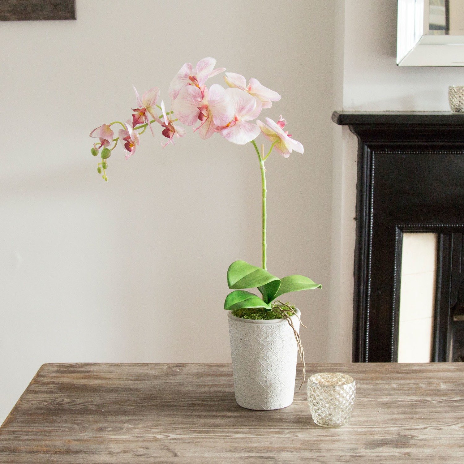 Phalenopsis Orchid in Tall Grey Pot - Pink Option Phalenopsis Orchid in Tall Grey Pot - Pink Option