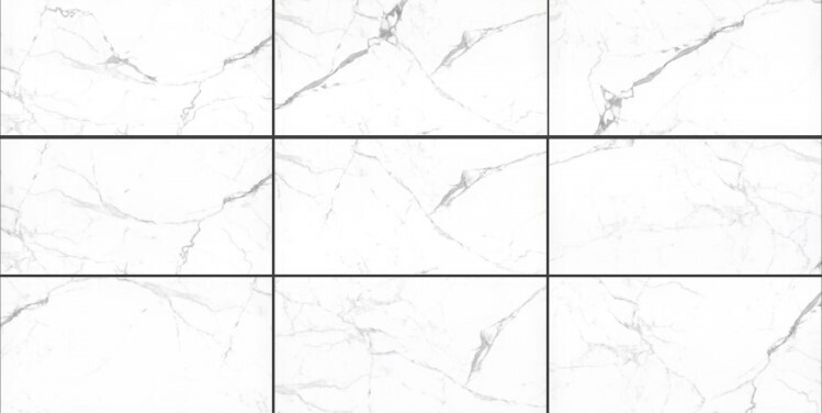Nur Statuario 24&quot; X 48&quot;